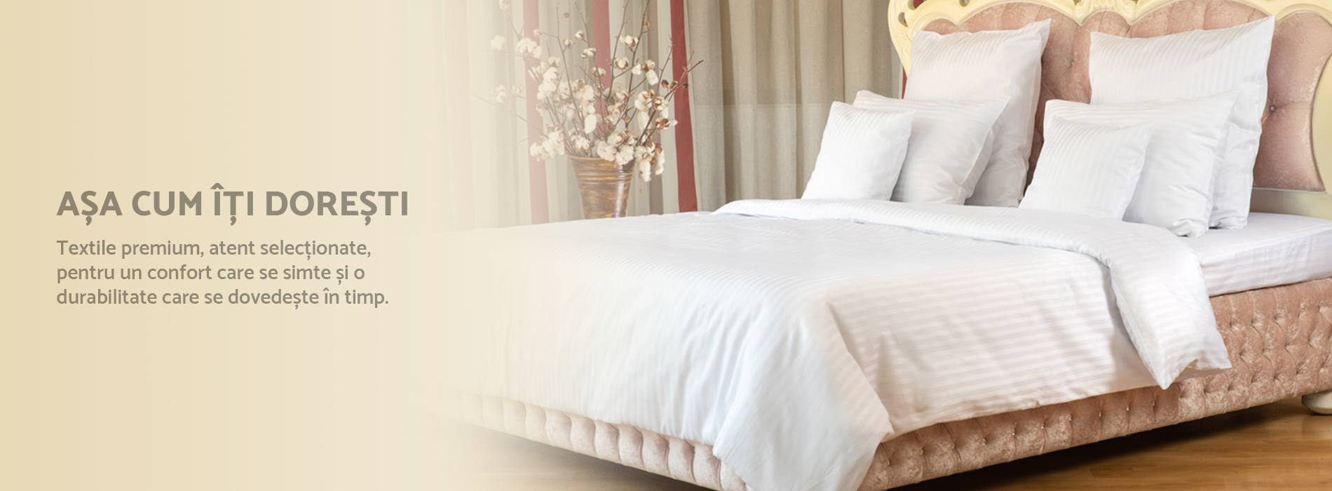 BannerLenjeriidepatdeluxe2