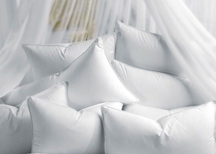 WhatsApp Image 2025-05-26 at 14.55.38